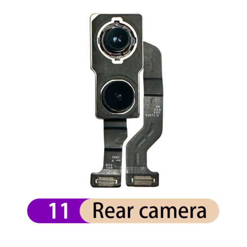iPhone 11 Rear Camera